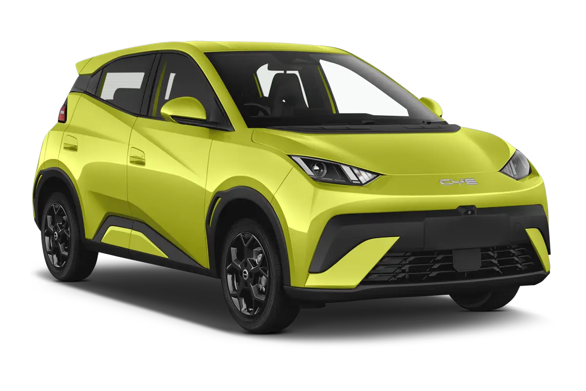 BYD Dolphin Surf neuve